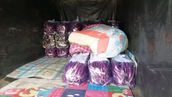 微信图片_20250418122541