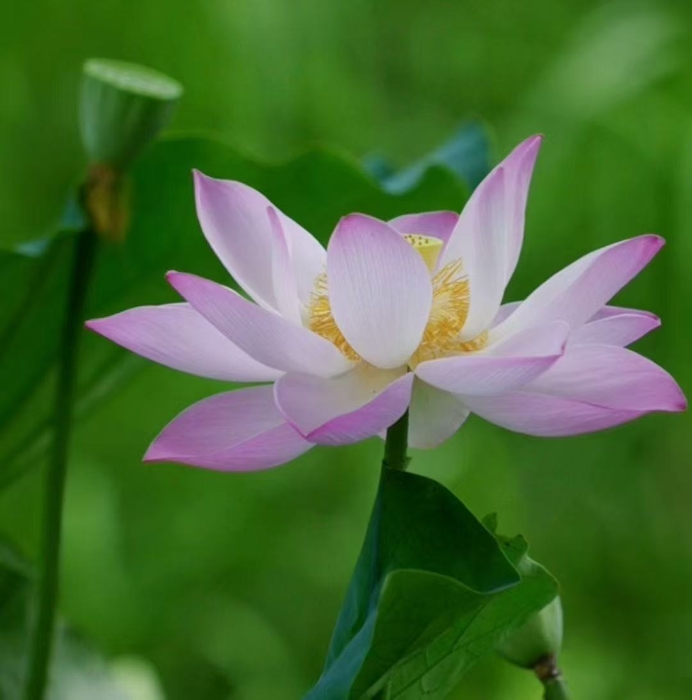 微信图片_20250627110107