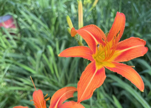 a8d8d6ed84198906d7302f91eecdead